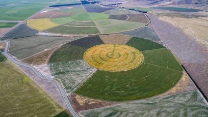 Crop Circles